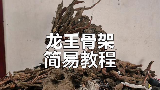 有哪些適合銀龍魚的魚缸裝飾 有哪些適合銀龍魚的魚缸裝飾 龍魚百科 第12張