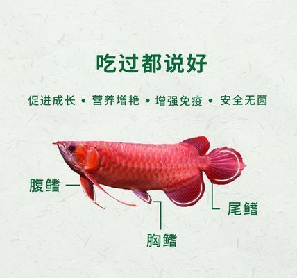 紅龍魚增色劑配方表，