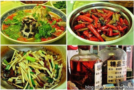 湘潭九龍魚頭店新聞報(bào)道