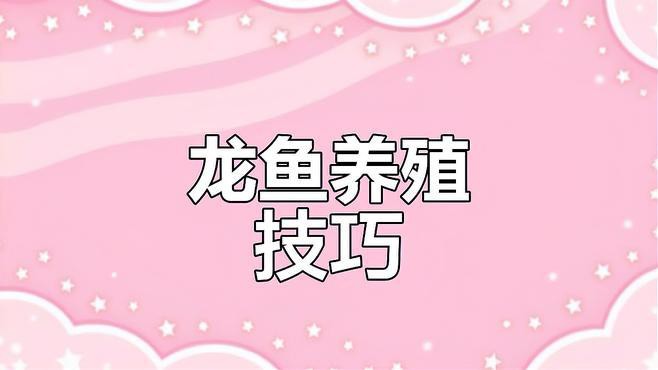 小魚缸養(yǎng)龍魚視頻