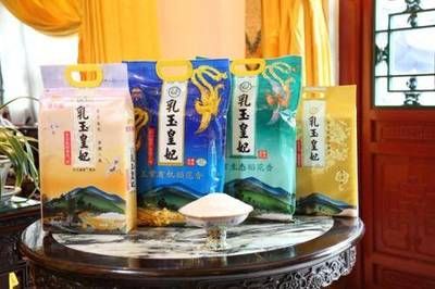 金龍魚接班人 金龍魚接班人 龍魚百科 第1張