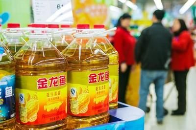 金龍魚接班人 金龍魚接班人 龍魚百科 第3張