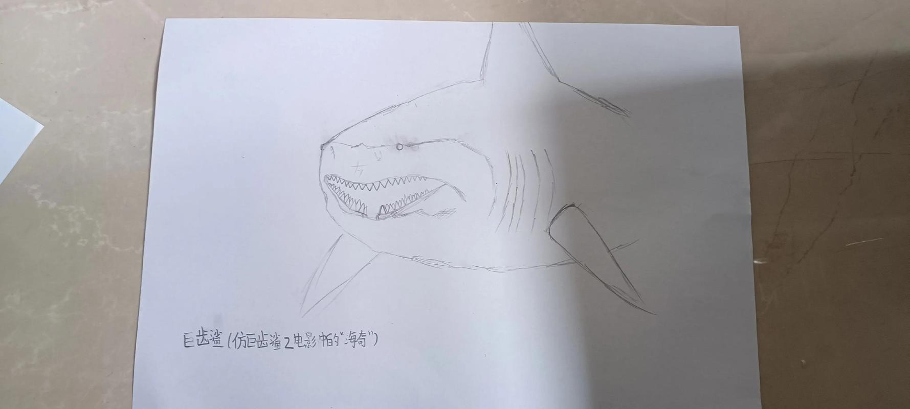 恐龍魚(yú)簡(jiǎn)筆畫圖片大全