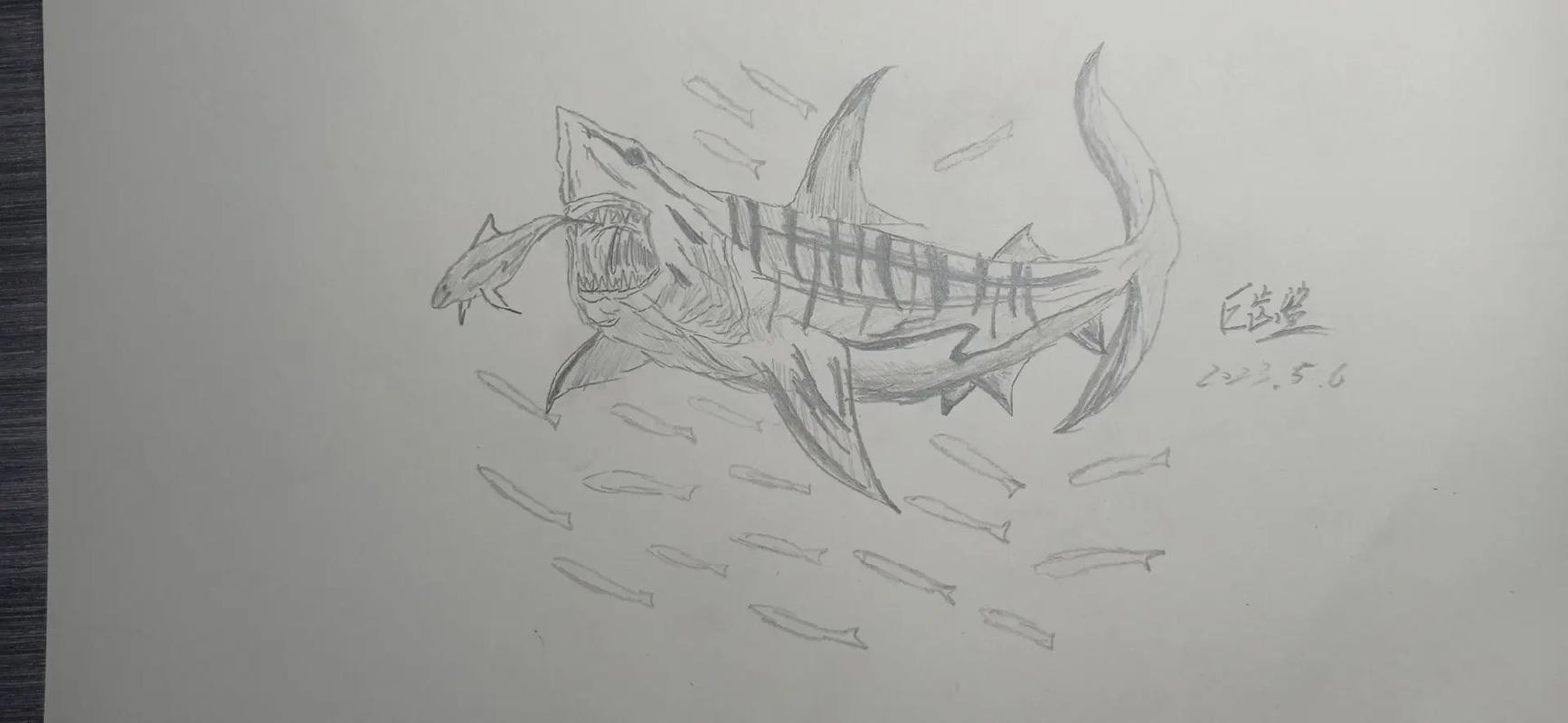 恐龍魚(yú)簡(jiǎn)筆畫圖片大全