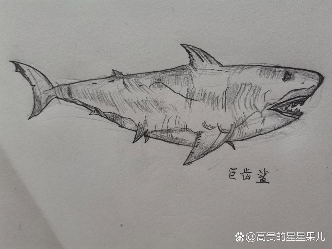 恐龍魚(yú)簡(jiǎn)筆畫圖片大全