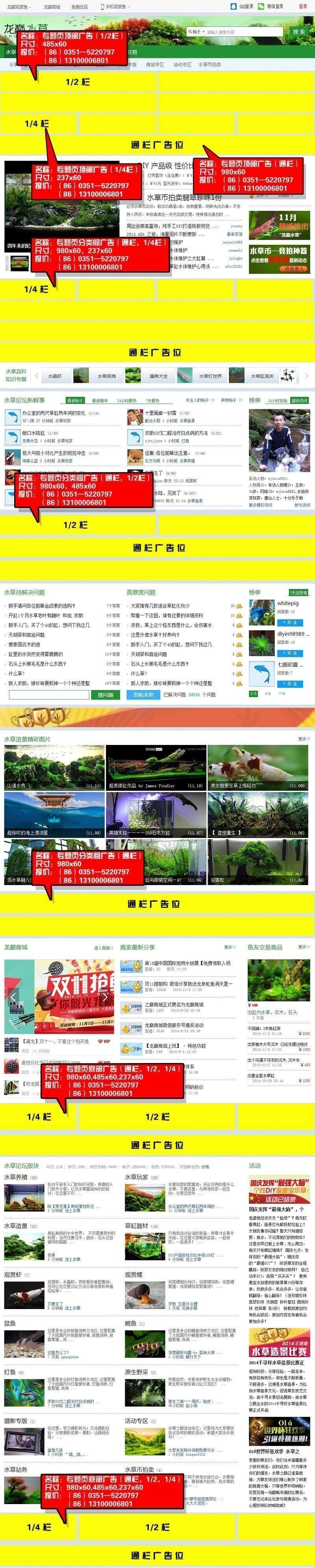 龍巔斗魚論壇官網首頁入口