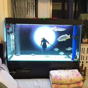 紅龍魚缸背景圖選擇什么顏色（養紅龍魚時背景顏色的選擇是一個需要注意的問題）