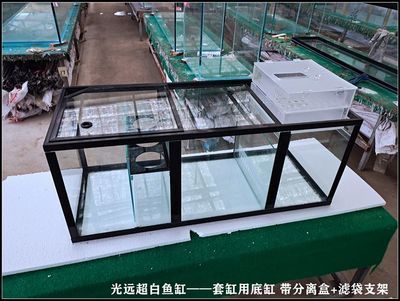 龍魚缸過濾系統怎么樣：榮昌大型龍魚缸過濾系統改裝龍魚缸過濾系統的優缺點 龍魚缸過濾系統怎么樣：榮昌大型龍魚缸過濾系統改裝龍魚缸過濾系統的優缺點 龍魚百科 第2張