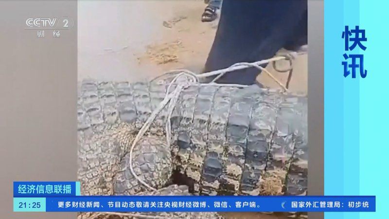 馬來西亞漁民個人簡介