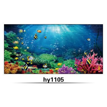 紅龍魚缸背景顏色（養紅龍魚用什么顏色底板和背景色）