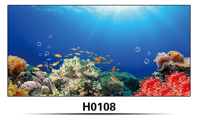 紅龍魚缸背景顏色（養紅龍魚用什么顏色底板和背景色）