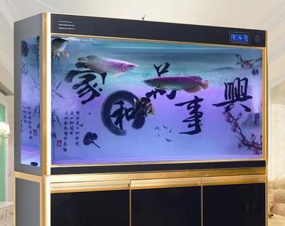紅龍魚缸背景顏色（養紅龍魚用什么顏色底板和背景色）