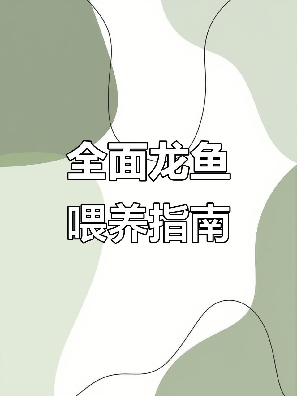 金龍魚不同階段喂食量
