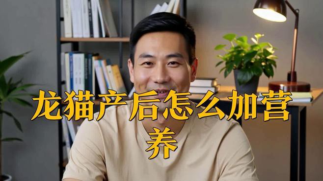 龍貓繁殖后如何護(hù)理 龍貓繁殖后如何護(hù)理 龍魚百科 第4張