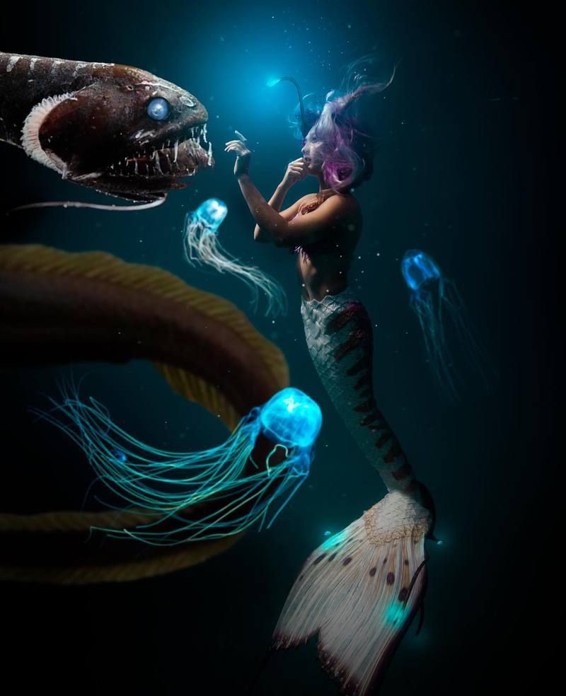 美人魚女王圖片