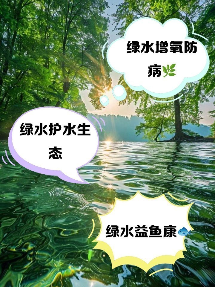 綠水養龍魚有什么好處