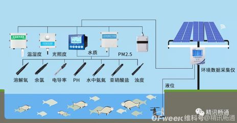 控制光照對水質的具體操作方法：控制光照是改善和維持水質的關鍵方法
