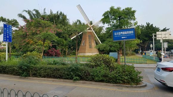 深圳買龍魚最大的市場（深圳賣龍魚最大的市場在哪里深圳龍魚批發市場排名）