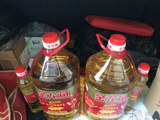金龍魚沉頭還可以要嗎：金龍魚沉頭怎么辦