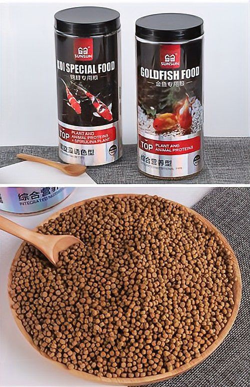 龜增色龍魚的生活習性