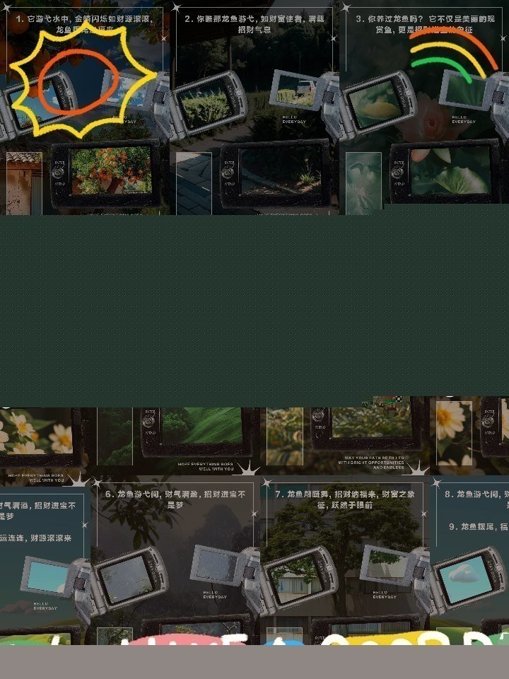 福龍魚的主要炒作手段有哪些？ 福龍魚的主要炒作手段有哪些？ 龍魚百科 第2張