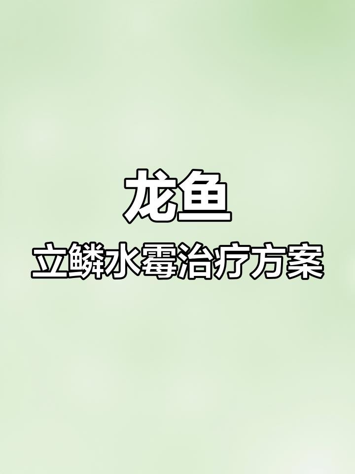 水質溫度型龍魚黑身松鱗綜合癥如何治療？