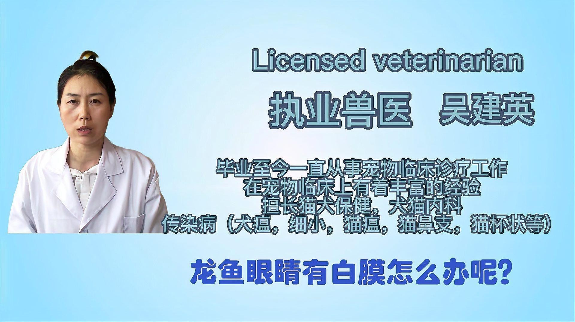 有哪些有效的龍魚眼睛白膜藥物？ 有哪些有效的龍魚眼睛白膜藥物？ 龍魚百科 第7張