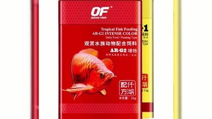 龍魚麻醉藥（斯樂疲和仟湖六號是龍魚手術中常用的麻醉藥物有哪些） 龍魚麻醉藥（斯樂疲和仟湖六號是龍魚手術中常用的麻醉藥物有哪些） 龍魚百科 第5張