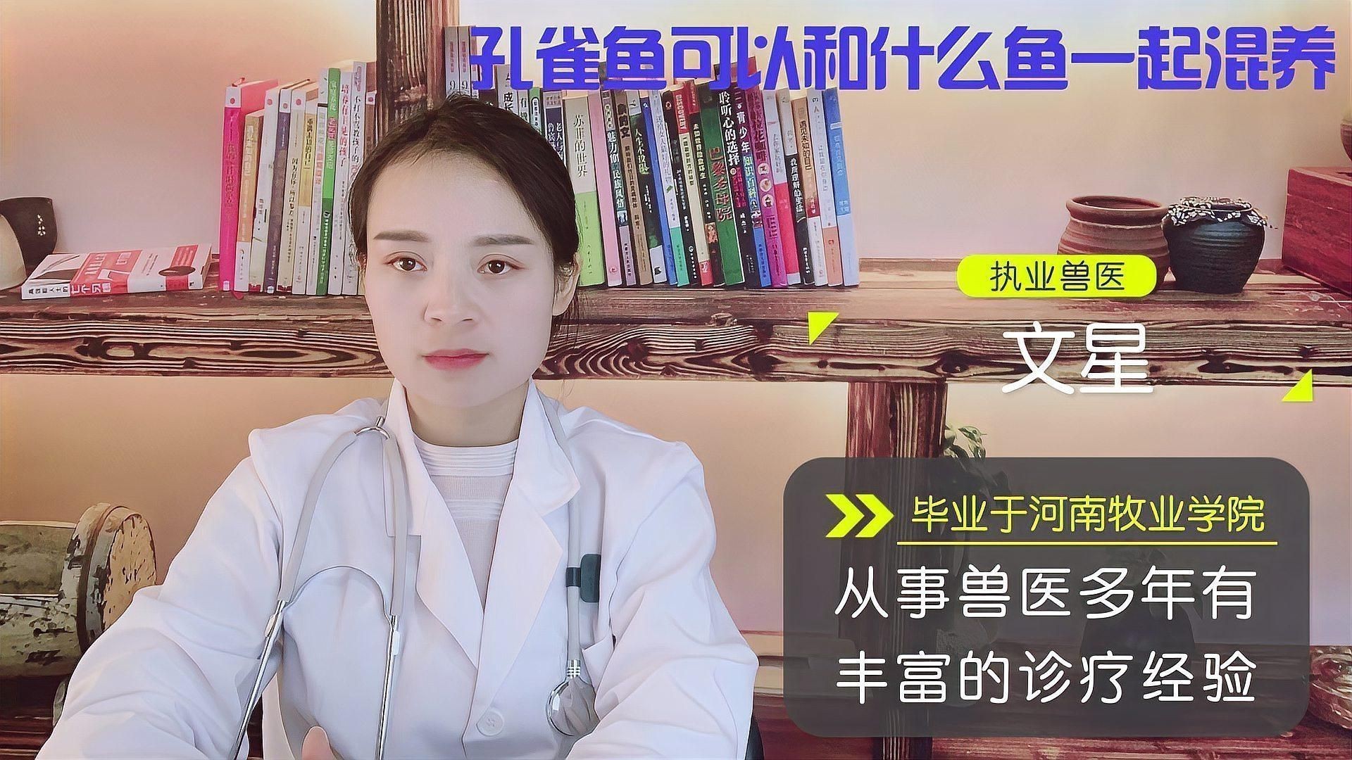 孔雀魚適合跟什么魚混養(yǎng)
