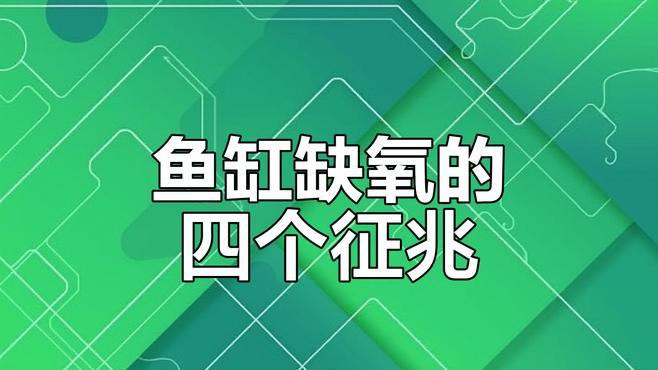 如何判斷龍魚是否長期缺氧？
