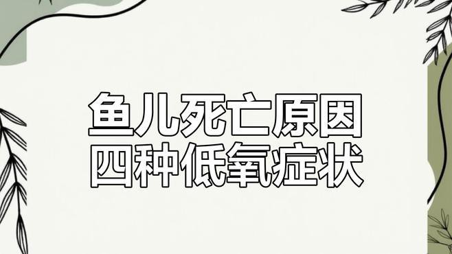 如何判斷龍魚是否長期缺氧？