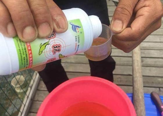 龍魚藥浴，關于龍魚藥浴的注意事項和步驟