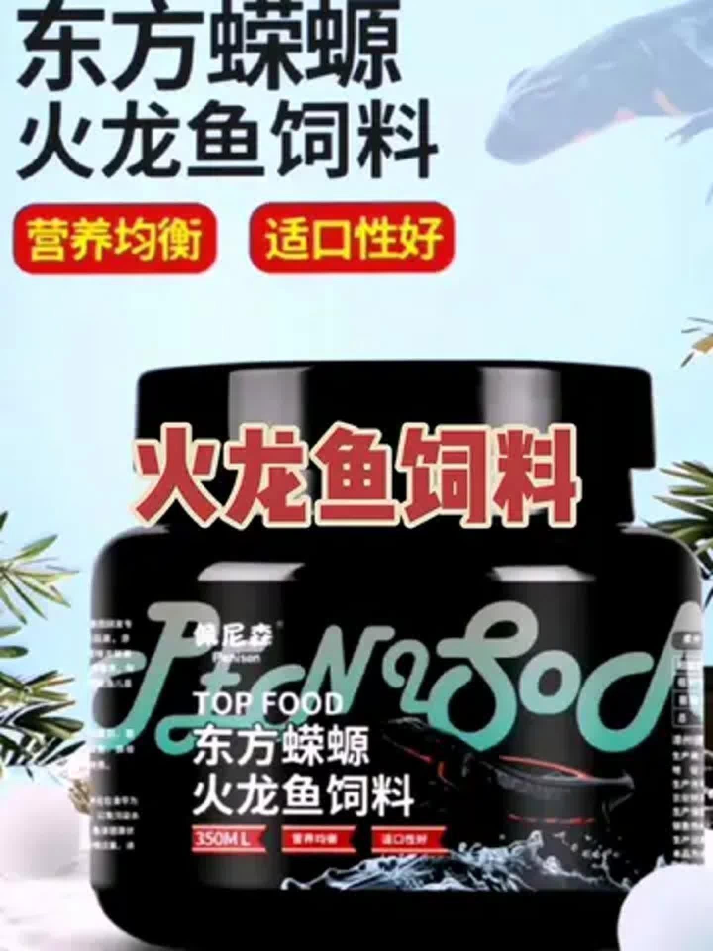 如何給小火龍魚喂食？