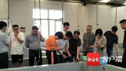 龍魚水溫最低多少度：龍魚水溫最低限度應在22至24攝氏度之間 龍魚水溫最低多少度：龍魚水溫最低限度應在22至24攝氏度之間 龍魚百科 第2張