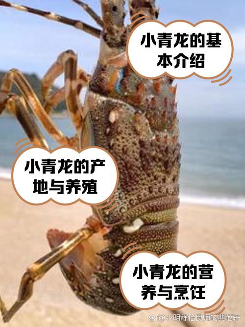 哪些電商平臺有淡水小青龍的售賣？