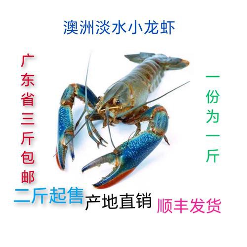 哪些電商平臺有淡水小青龍的售賣？