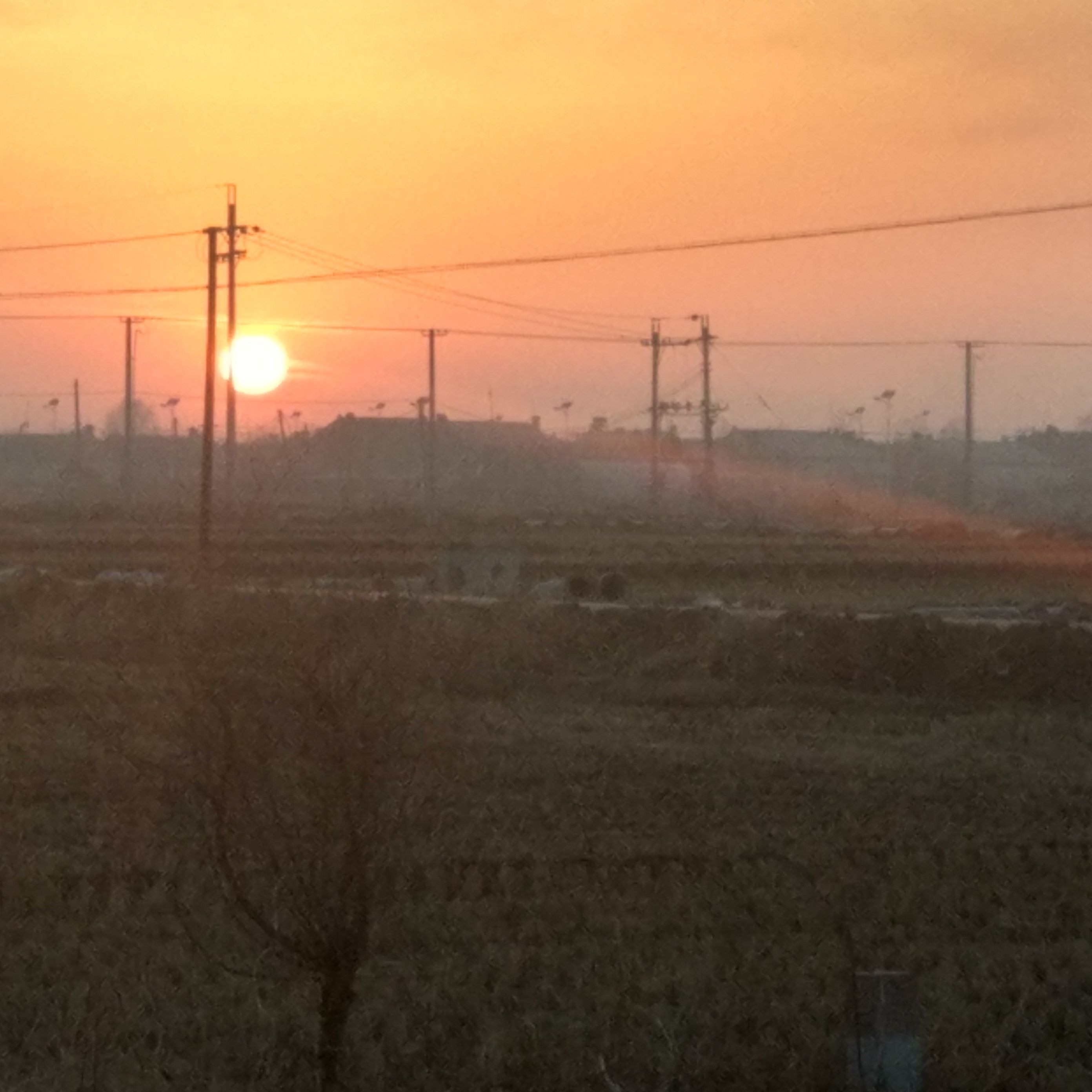 龍魚魚鰓出現一個洞 龍魚百科 第3張 龍魚魚鰓出現一個洞 龍魚魚鰓出現一個洞 龍魚百科 第3張