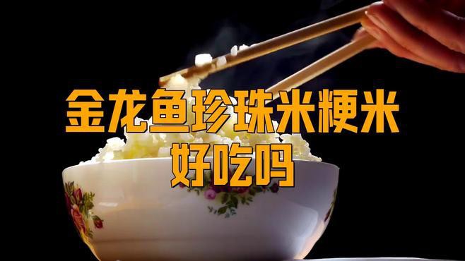 金龍魚珍珠米