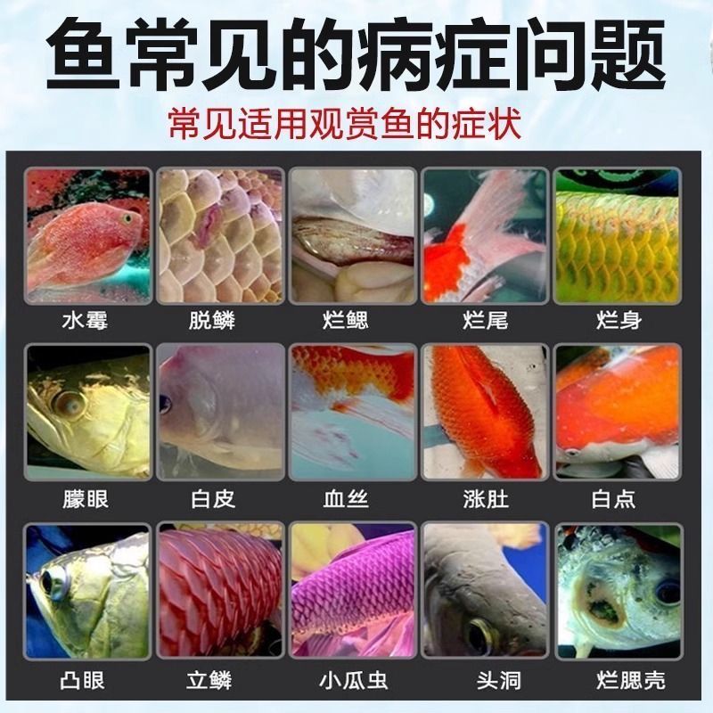 龍魚燈用什么顏色的燈泡好一點：龍魚燈用什么顏色的燈泡好？科學選擇指南