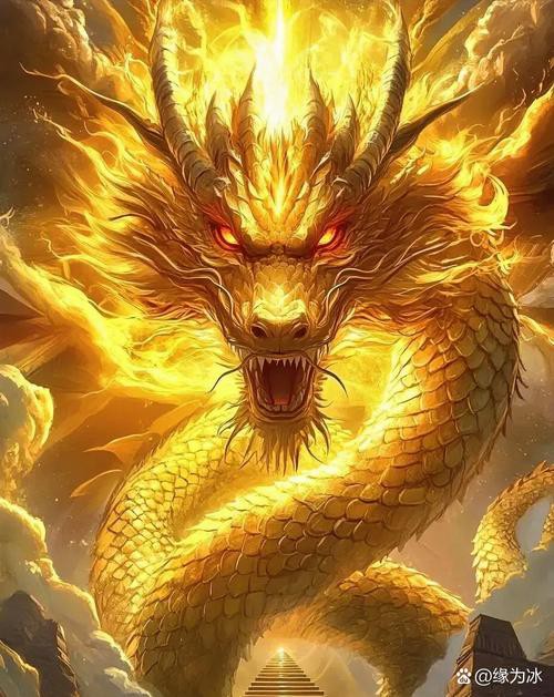 有哪些高清無版權的招財金龍壁紙？