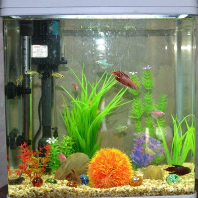 過濾魚缸多久換一次水最佳，過濾魚缸換水頻率對比魚缸水質檢測方法介紹 過濾魚缸多久換一次水最佳，過濾魚缸換水頻率對比魚缸水質檢測方法介紹 龍魚百科 第5張