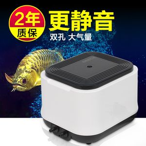 龍魚麻藥后多久能好起來吃東西：龍魚在使用麻藥后恢復進食的時間受到多種因素影響 龍魚麻藥后多久能好起來吃東西：龍魚在使用麻藥后恢復進食的時間受到多種因素影響 龍魚百科 第3張