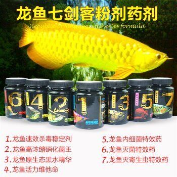 龍魚身子彎了怎么治（如何治療龍魚身體彎曲） 龍魚身子彎了怎么治（如何治療龍魚身體彎曲） 龍魚百科 第5張