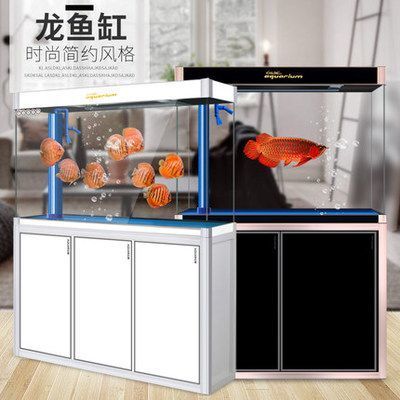 龍魚的缸要多大尺寸：龍魚缸的尺寸大小對養龍魚的重要性