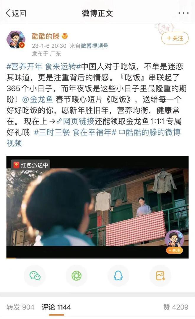 金龍魚廣告詞大全