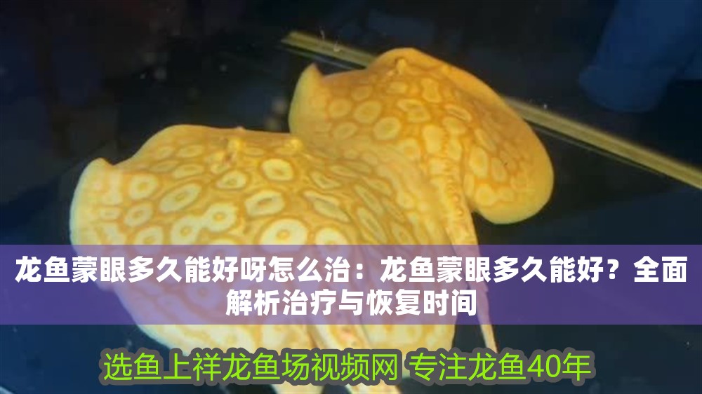 龍魚蒙眼多久能好呀怎么治：龍魚蒙眼多久能好？全面解析治療與恢復時間