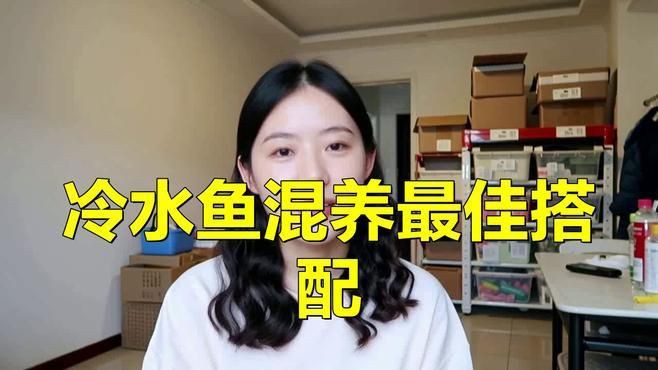 冷水魚混養最佳10種魚