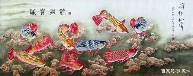 荷花金龍魚代表什么意思（荷花金龍魚的含義） 荷花金龍魚代表什么意思（荷花金龍魚的含義） 龍魚百科 第1張