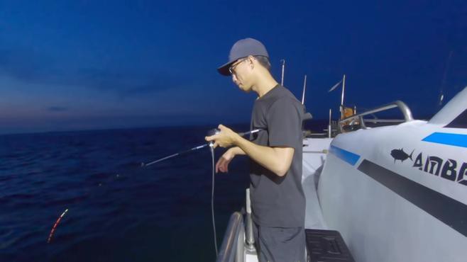 白龍魚大概多少錢一條 白龍魚大概多少錢一條 龍魚百科 第1張