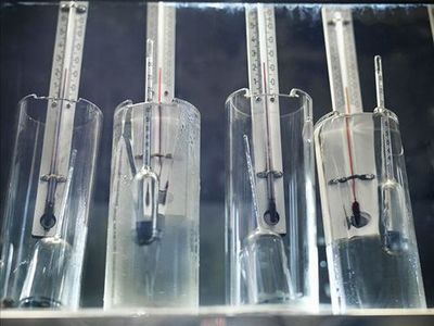 龍魚缸溫度計圖片：龍魚缸溫度計圖片查詢